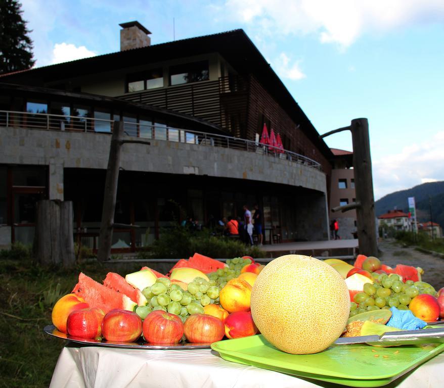 Borika Hotel Chepelare Dış mekan fotoğraf